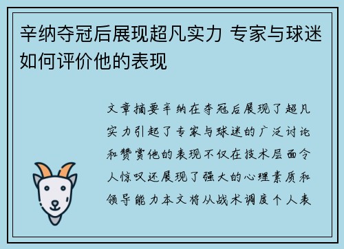 辛纳夺冠后展现超凡实力 专家与球迷如何评价他的表现