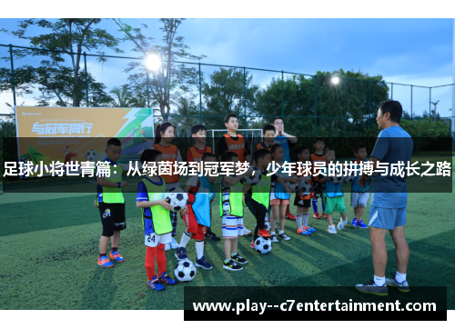 足球小将世青篇：从绿茵场到冠军梦，少年球员的拼搏与成长之路